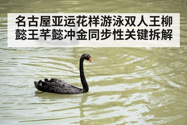 名古屋亚运花样游泳双人王柳懿王芊懿冲金同步性关键拆解
