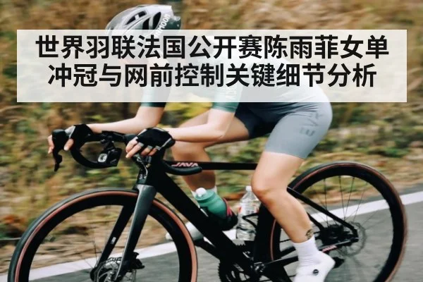 世界羽联法国公开赛陈雨菲女单冲冠与网前控制关键细节分析